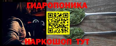 шишки Аргун
